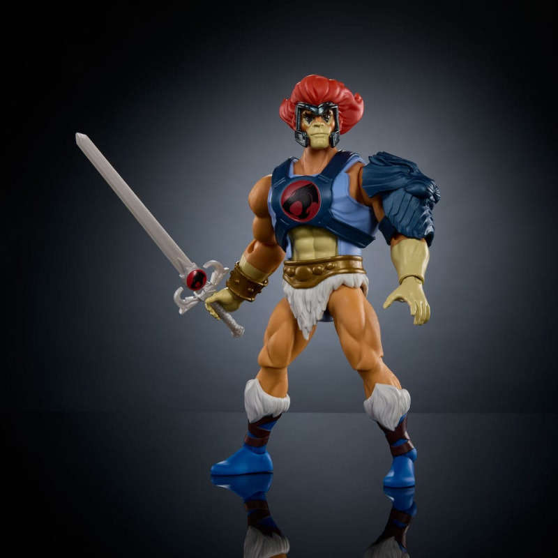 Masters of the Universe x ThunderCats Action Figure Lion-O 14 cm 4
