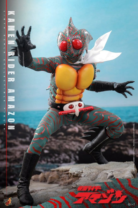 Kamen Rider Amazon 1/6 Amazon (Daisuke Yamamoto) 30 cm 2
