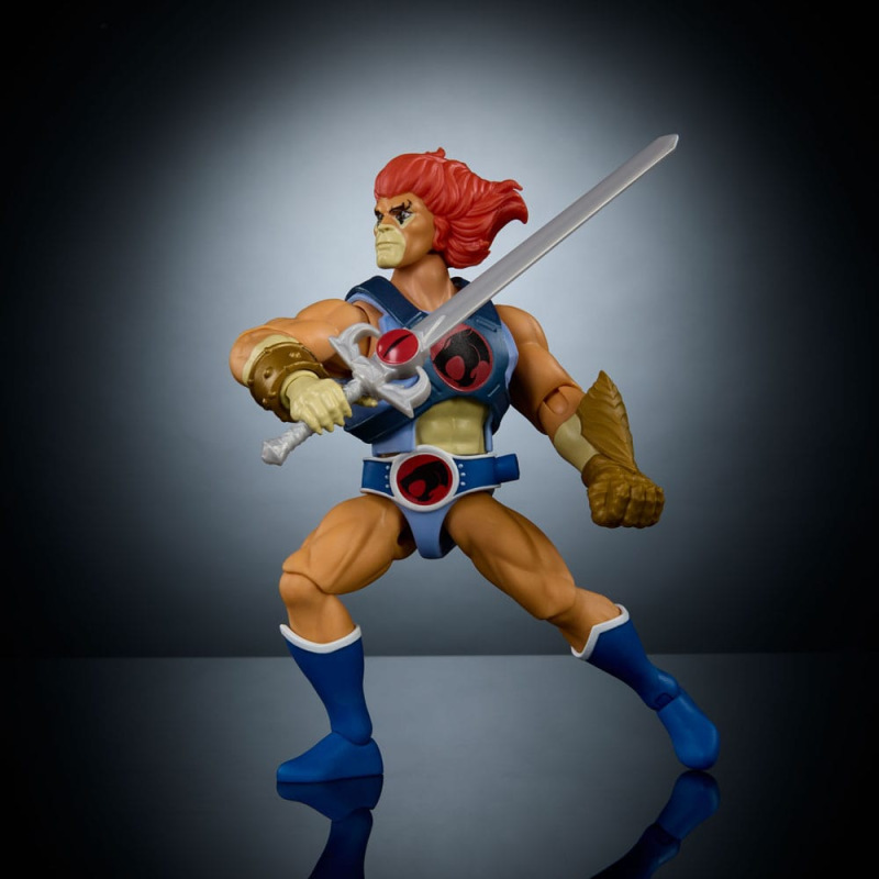 Masters of the Universe x ThunderCats Action Figure Lion-O 14 cm 7