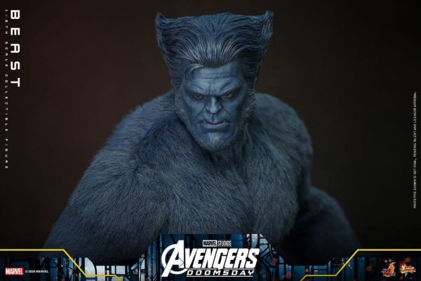Marvel X-Men Movie Masterpiece Action Figure 1/6 Beast (Collector Edition) 33 cm 7