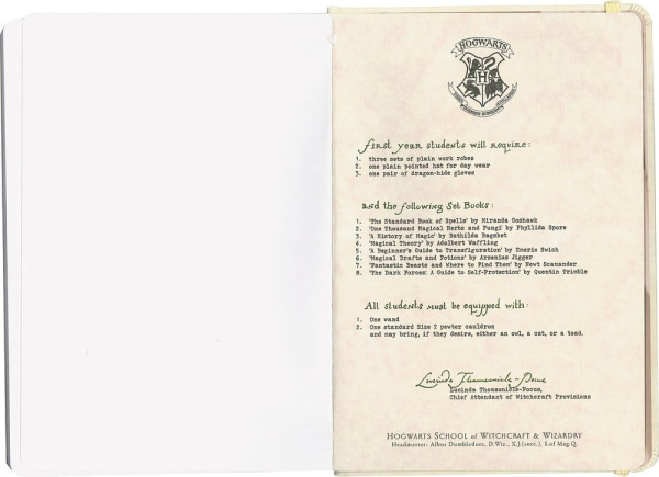 Harry Potter Hardcover Notebook Hogwarts Letter 21 cm 5