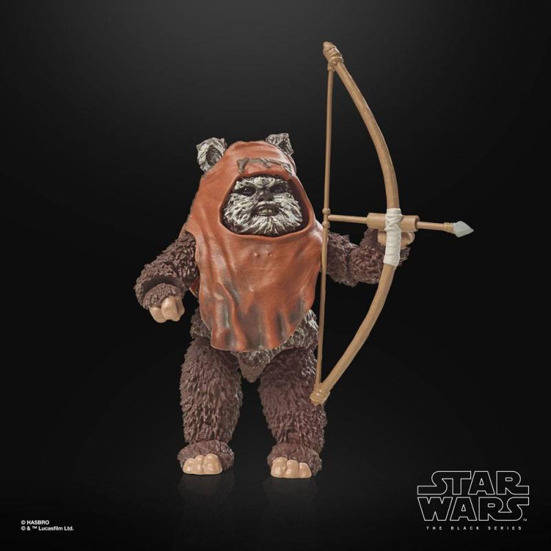 Star Wars Episode VI: Wicket 15 cm 40th Anniversary Black Series Action Figure - Hasbro