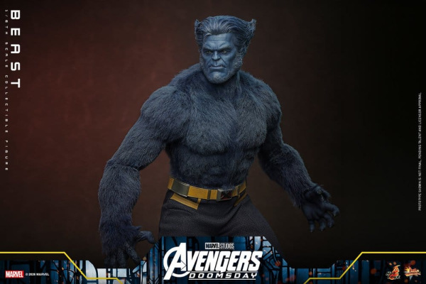 Marvel X-Men Movie Masterpiece Action Figure 1/6 Beast (Collector Edition) 33 cm 6