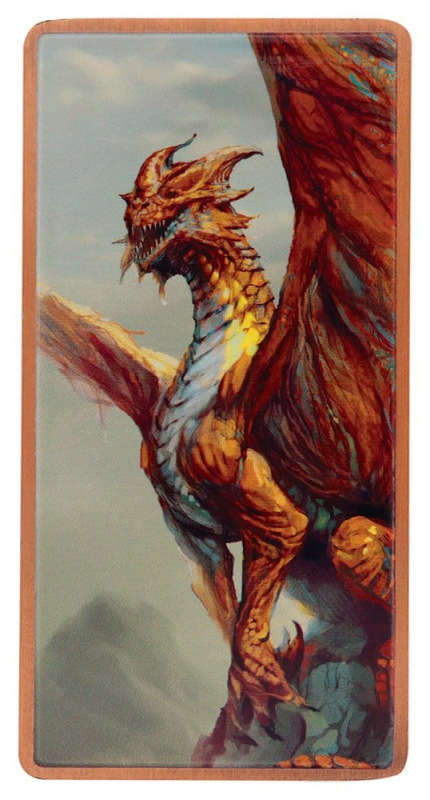 Dungeons & Dragons Ingot Set Magnet Warrior Limited Edition 10