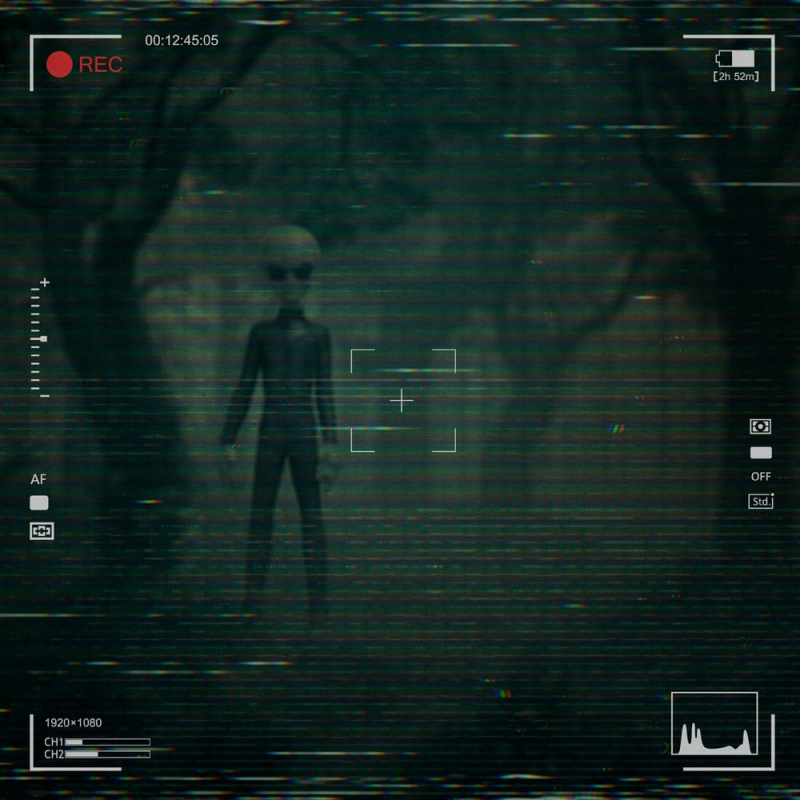 I want to Believe Art Scale Statue 1/10 Alien Grey 21 cm 8