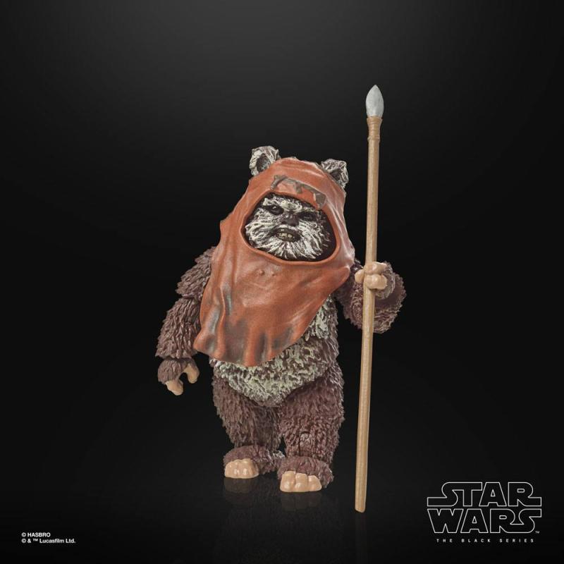 Star Wars Episode VI: Wicket 15 cm 40th Anniversary Black Series Action Figure - Hasbro