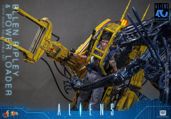 Alien Movie Masterpiece Figure Set 1/6 Ellen Ripley and Power Loader 52 cm 7