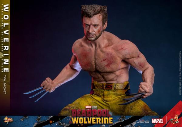 Deadpool & Wolverine Movie Masterpiece Action Figure 1/6 Wolverine (TVA Jacket Version) 31 cm