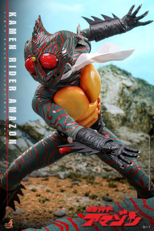 Kamen Rider Amazon 1/6 Amazon (Daisuke Yamamoto) 30 cm 3