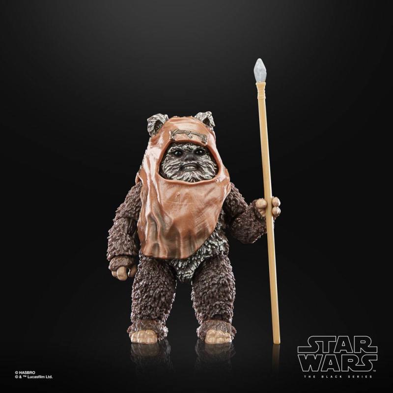 Star Wars Episode VI: Wicket 15 cm 40th Anniversary Black Series Action Figure - Hasbro