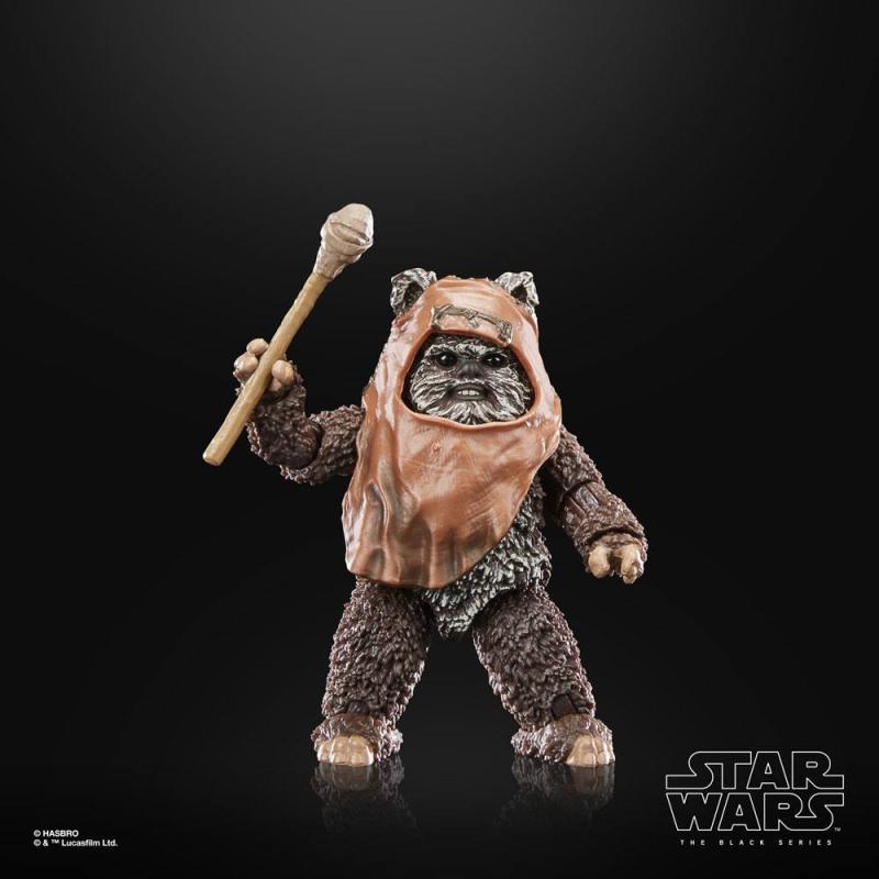 Star Wars Episode VI: Wicket 15 cm 40th Anniversary Black Series Action Figure - Hasbro