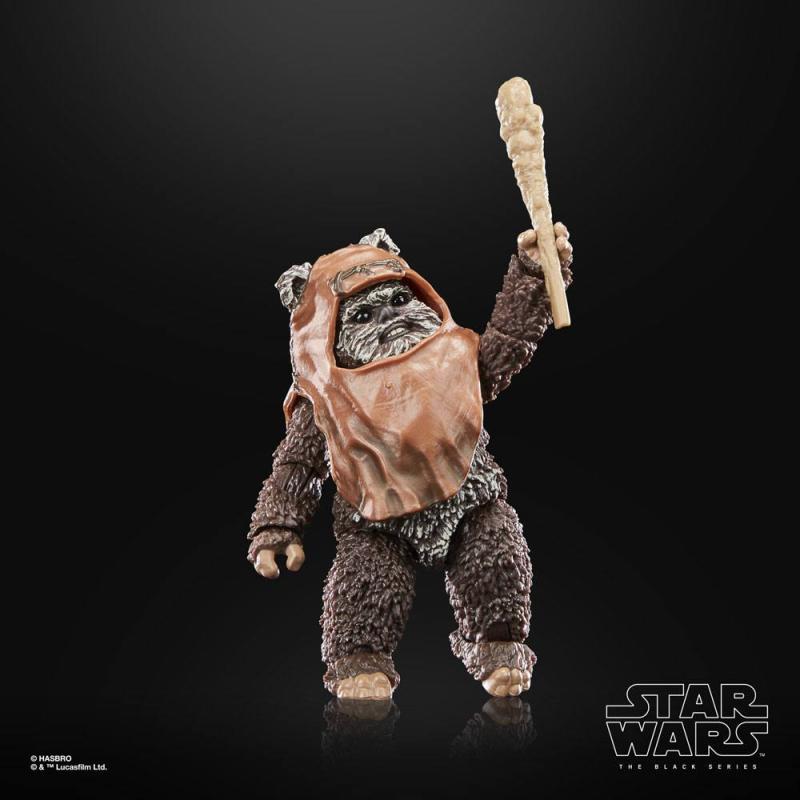 Star Wars Episode VI: Wicket 15 cm 40th Anniversary Black Series Action Figure - Hasbro