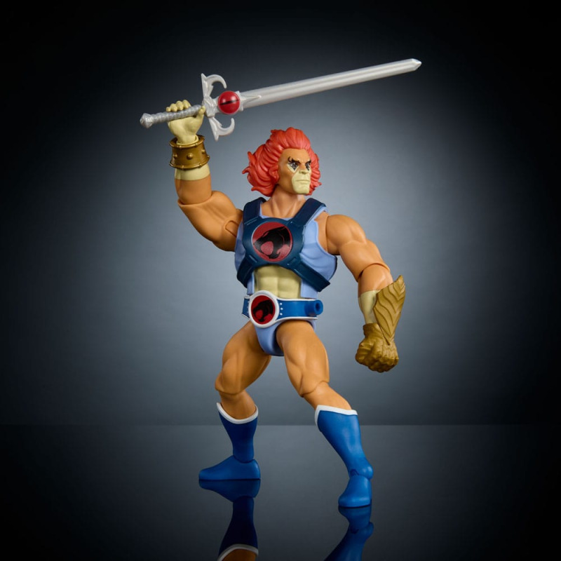 Masters of the Universe x ThunderCats Action Figure Lion-O 14 cm 6