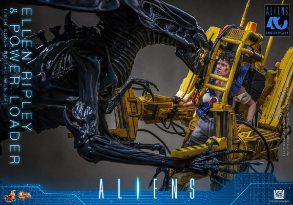 Alien Movie Masterpiece Figure Set 1/6 Ellen Ripley and Power Loader 52 cm 11