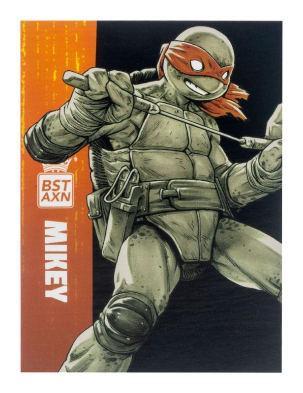 Teenage Mutant Ninja Turtles BST AXN Action Figure 4-Pack Black&White (IDW Comics) 13 cm