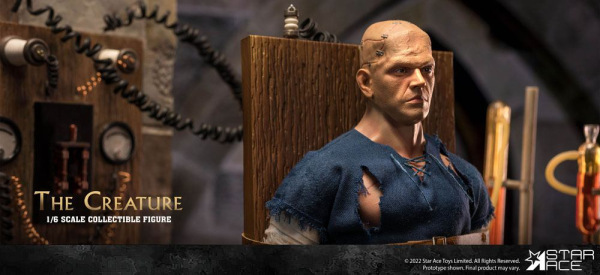 The Horror of Frankenstein My Favourite Movie Action Figure 1/6 The Creature 30 cm 1