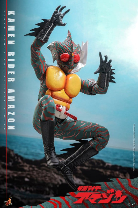 Kamen Rider Amazon 1/6 Amazon (Daisuke Yamamoto) 30 cm 10