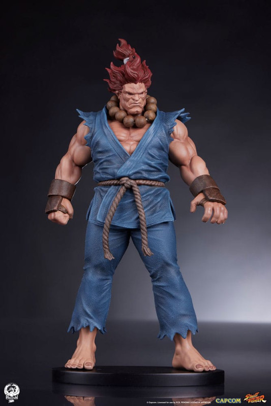 Street Fighter PVC Statues 1/10 Akuma & Dhalsim 21 cm 10