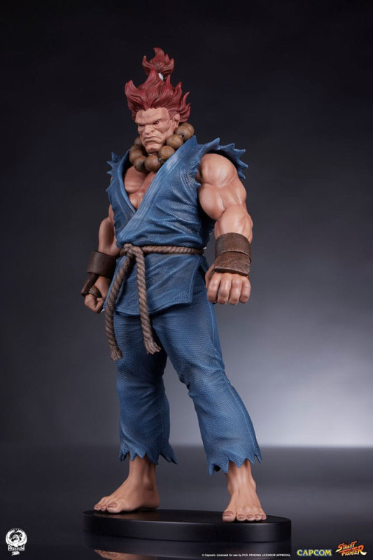 Street Fighter PVC Statues 1/10 Akuma & Dhalsim 21 cm 6