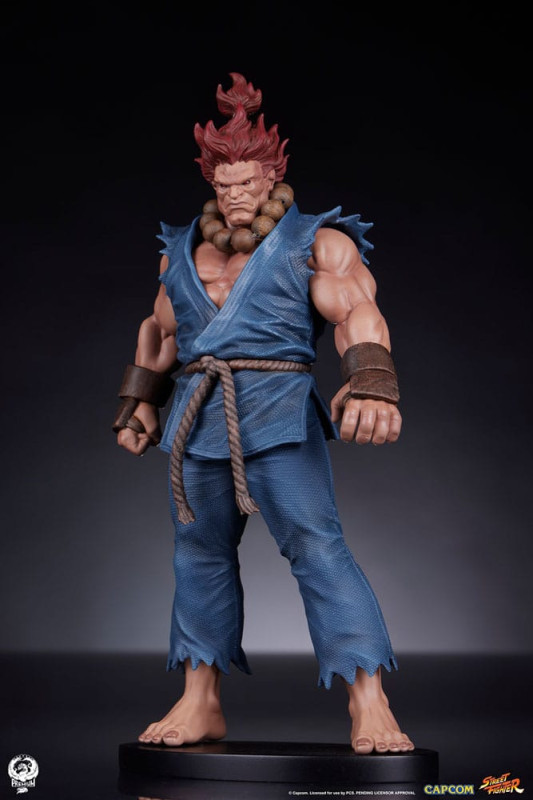 Street Fighter PVC Statues 1/10 Akuma & Dhalsim 21 cm 5