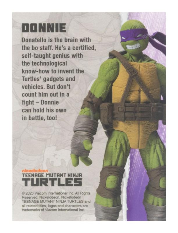 Teenage Mutant Ninja Turtles BST AXN Action Figure Donatello (IDW Comics) 13 cm 1