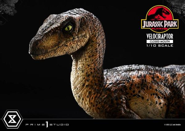 Jurassic Park Prime Collectibles Statue 1/10 Velociraptor Closed Mouth 19 cm