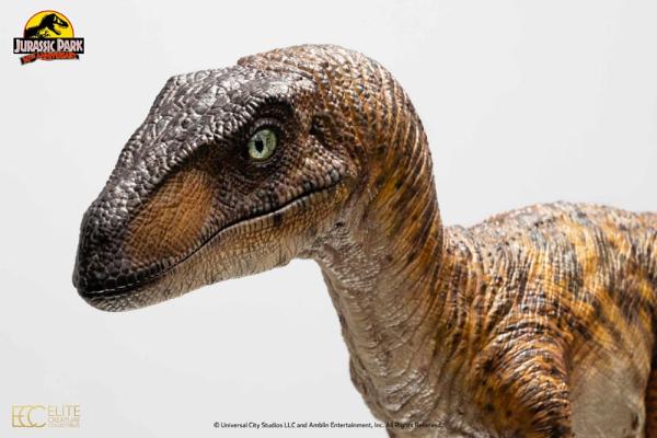 Jurassic Park: Velociraptor Clever Girl (With Acrylic Case) 1/4 Statue - Toynami