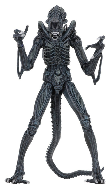 Aliens Ultimate Action Figure Warrior (1986) Blue 23 cm