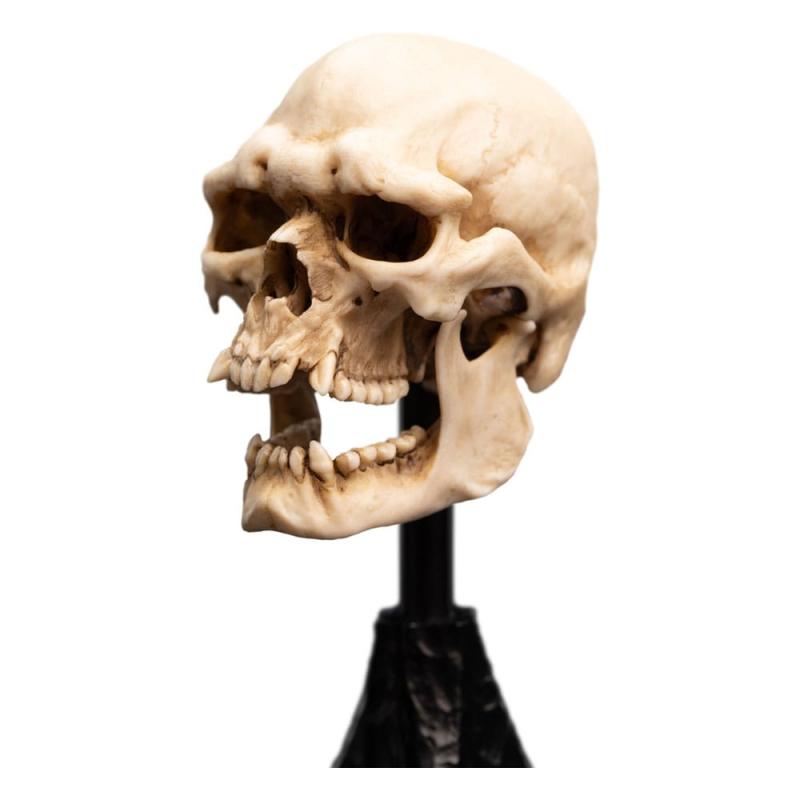 Lord of the Rings Mini Statue Skull of a Mordor Orc 14 cm 1