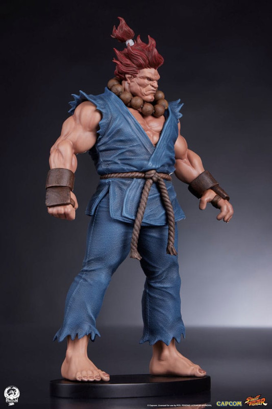 Street Fighter PVC Statues 1/10 Akuma & Dhalsim 21 cm 9