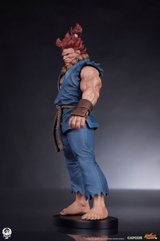 Street Fighter PVC Statues 1/10 Akuma & Dhalsim 21 cm 7