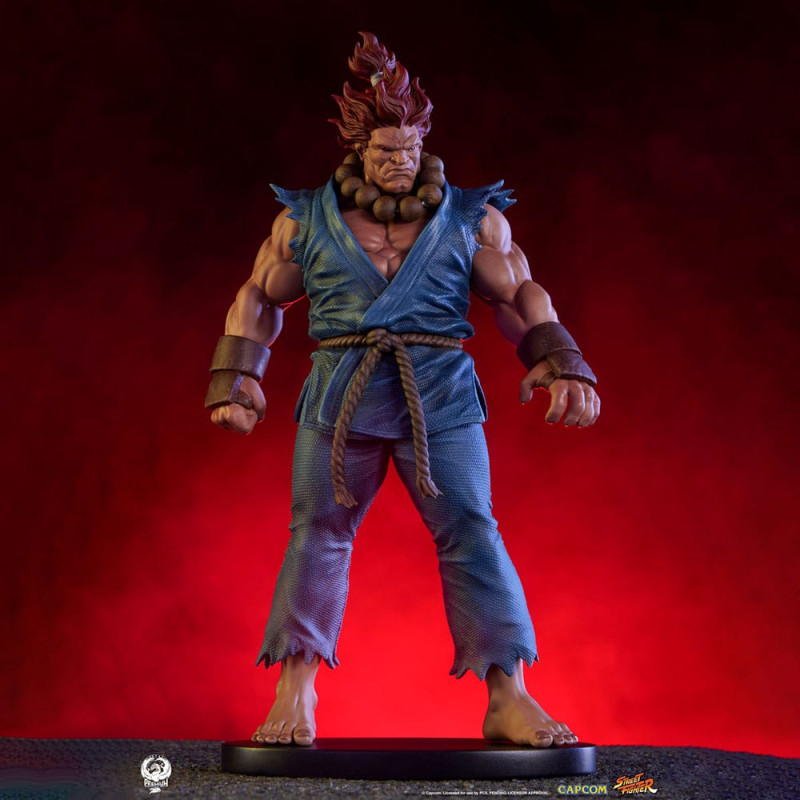 Street Fighter PVC Statues 1/10 Akuma & Dhalsim 21 cm 2