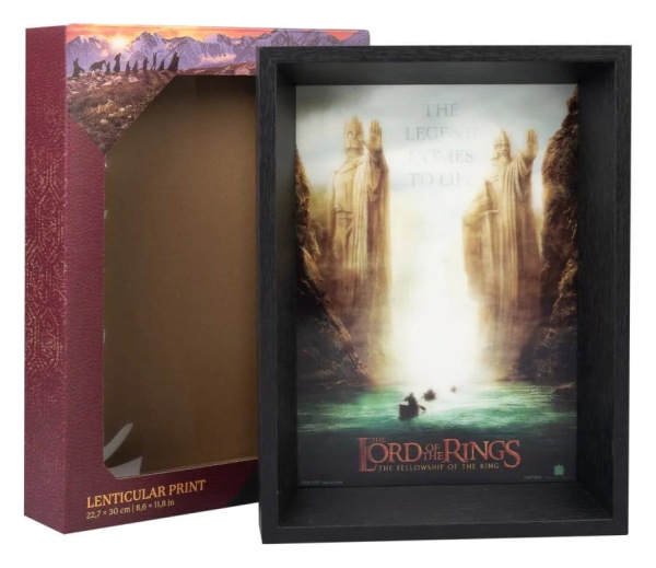 The Lord of the Rings Framed Print 1