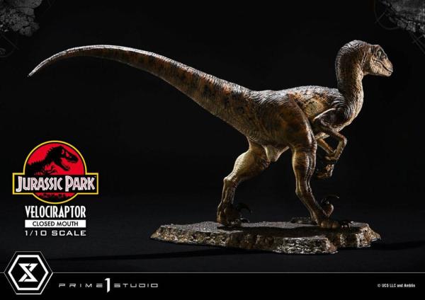 Jurassic Park Prime Collectibles Statue 1/10 Velociraptor Closed Mouth 19 cm