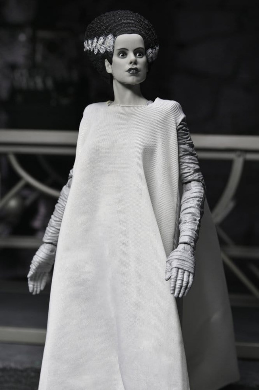 Universal Monsters 2-Pack Action Figure Bride of Frankenstein 90th Anniversary The Monster & His Mat 8