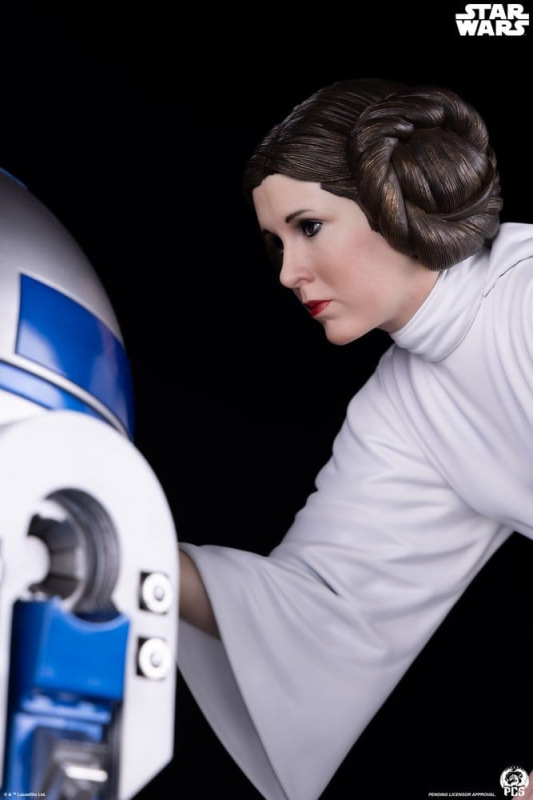 Star Wars Statue 1/3 Princess Leia 48 cm 13