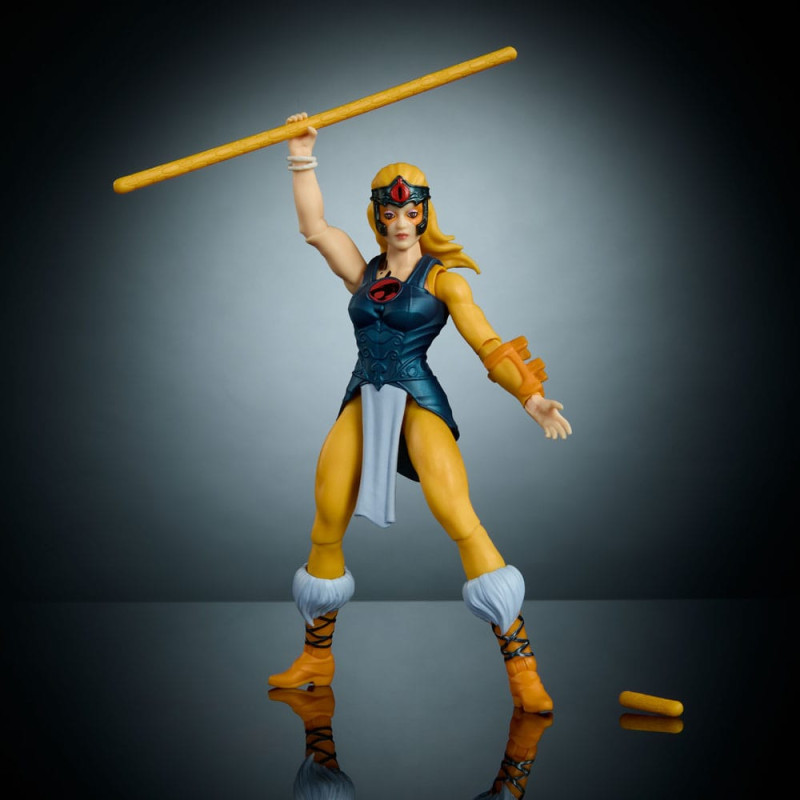 Masters of the Universe x ThunderCats Action Figure Cheetara 14 cm 4