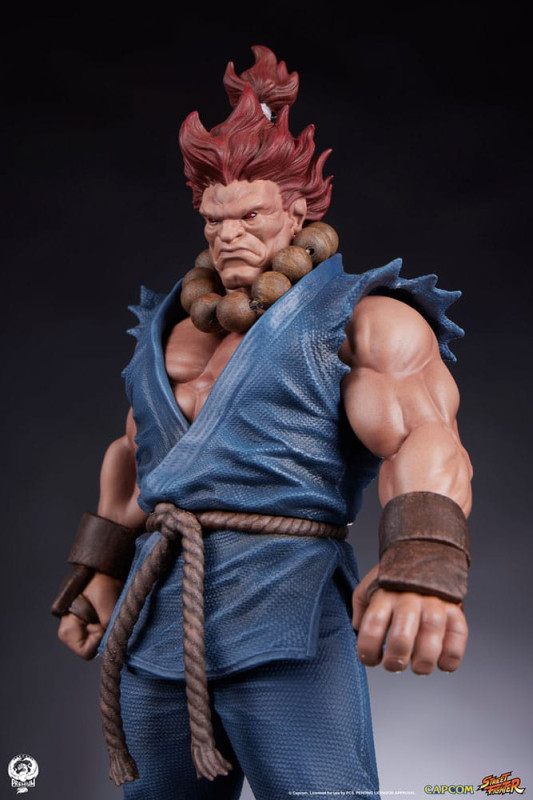Street Fighter PVC Statues 1/10 Akuma & Dhalsim 21 cm 12