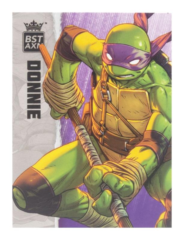 Teenage Mutant Ninja Turtles BST AXN Action Figure Donatello (IDW Comics) 13 cm 2