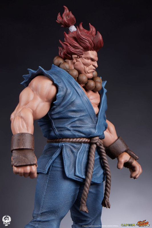 Street Fighter PVC Statues 1/10 Akuma & Dhalsim 21 cm 11