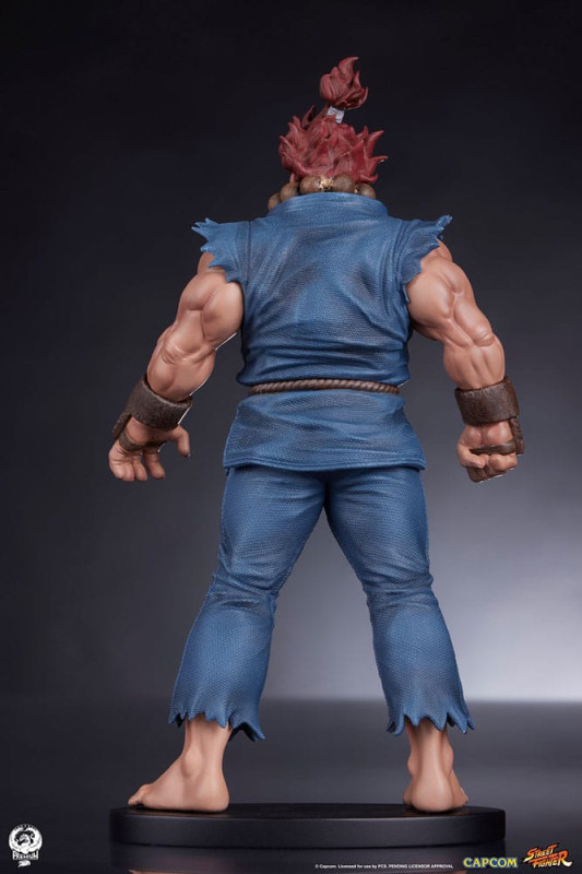 Street Fighter PVC Statues 1/10 Akuma & Dhalsim 21 cm 8
