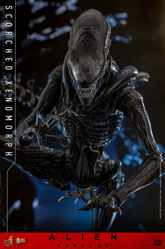 Alien: Romulus Movie Masterpiece Action Figure 1/6 Scorched Xenomorph 44 cm 11