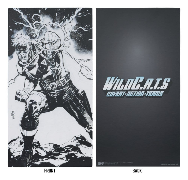 WildC.A.T.S Elite Edition Image Comic Founders Series Deluxe Action Figure Spartan 19 cm 7