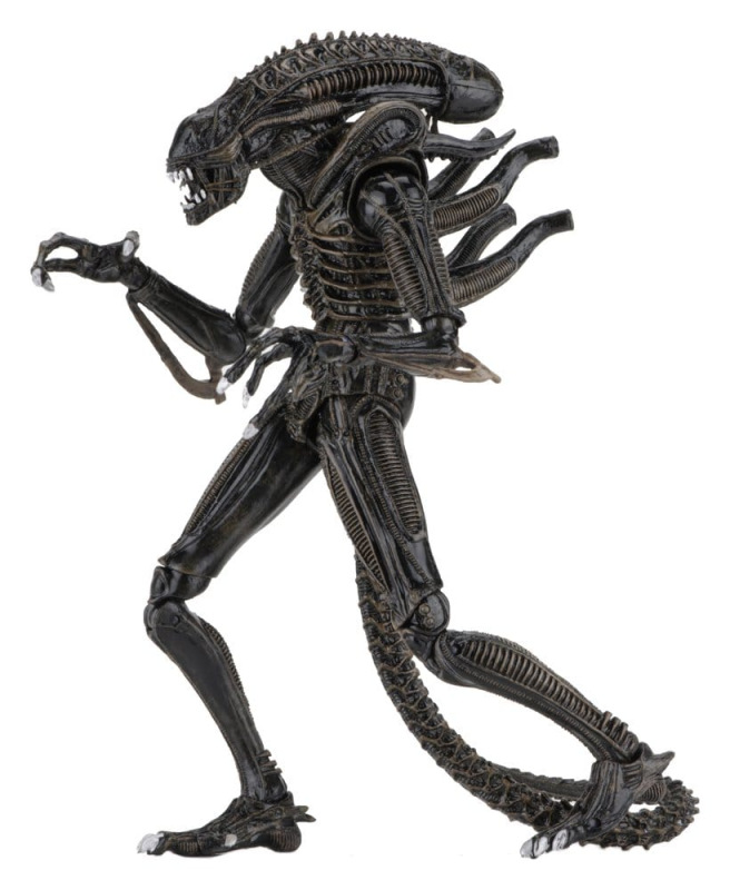 Aliens Ultimate Action Figure Warrior (1986) Brown 23 cm 1