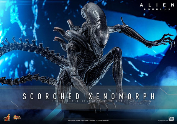 Alien: Romulus Movie Masterpiece Action Figure 1/6 Scorched Xenomorph 44 cm 1