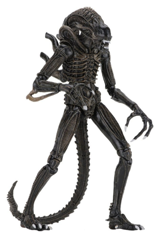 Aliens Ultimate Action Figure Warrior (1986) Brown 23 cm 2