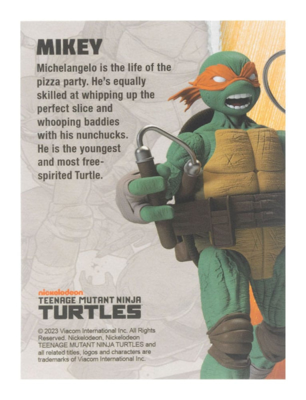 Teenage Mutant Ninja Turtles BST AXN Action Figure Michelangelo (IDW Comics) 13 cm 1