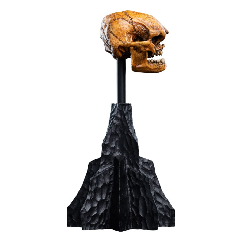 Lord of the Rings Mini Statue Skull of a Misty Mountain Goblin 14 cm 5