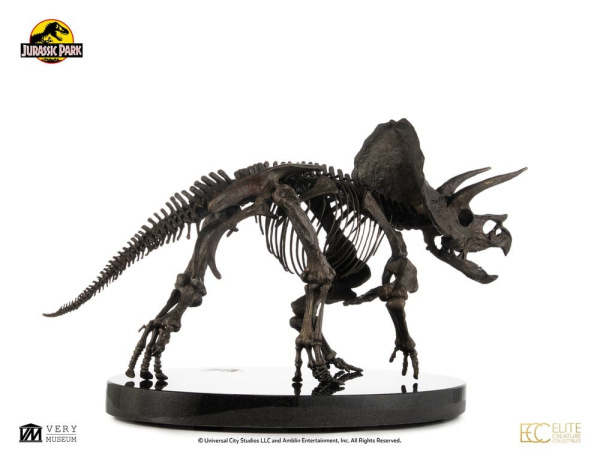 Jurassic World ECC Elite Creature Line Statue 1/12 Triceratops Fossil Skeleton Bronze 33 cm 6