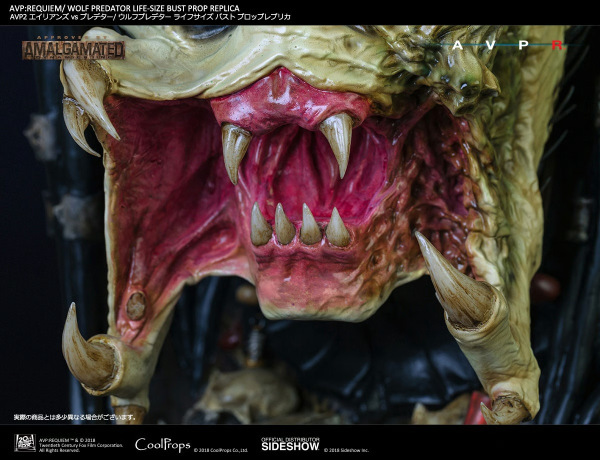 Wolf Predator Life-Size Bust - CoolProps 6